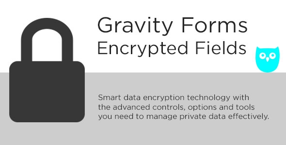Gravity Forms 表单字段加密插件 Encrypted Fields中英文汉化版 [v6.1.4]