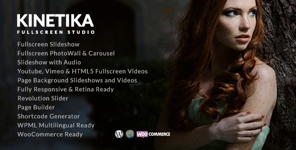 Kinetika 摄影展示类WordPress企业建站主题模板中英文汉化版 [v6.5.9]