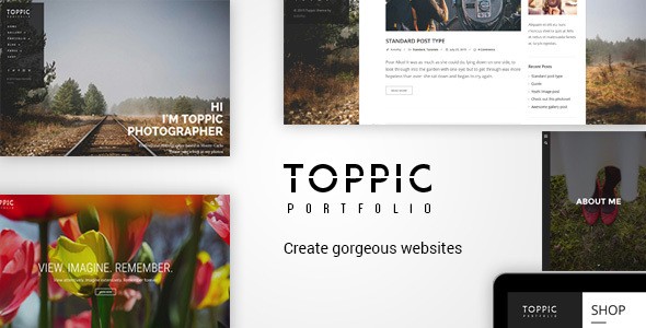 TopPic 摄影展示类WordPress企业建站主题模板中英文汉化版 [v4.3]