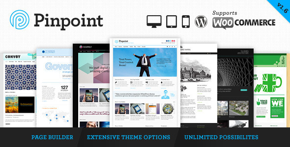 Pinpoint 简洁新闻杂志类WordPress企业建站主题模板中英文汉化版 [v1.7.30]