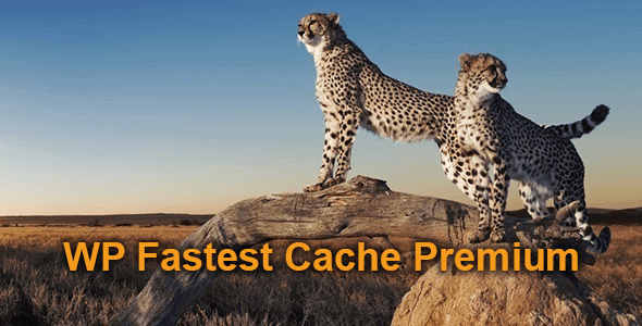 WordPress 缓存提速插件 Wp Fastest Cache Premium 中英文汉化版 [v1.7.0]
