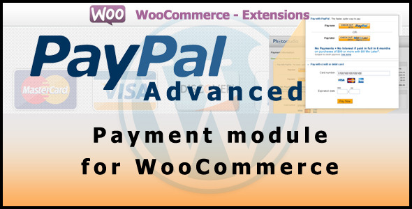 WooCommerce 高级支付网关插件 Paypal Advanced Payment Gateway [代购]