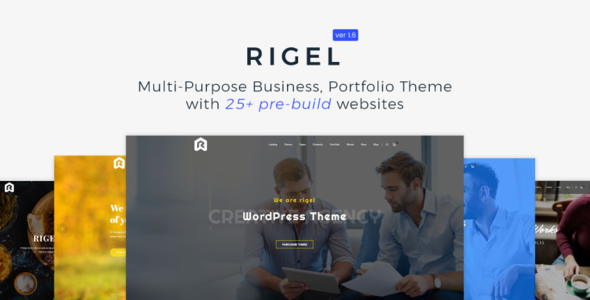 Rigel多用途作品案例展示WordPress企业建站主题模板中英文汉化版 [代购]