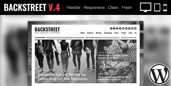 Backstreet 新闻杂志博客WordPress企业建站主题模板中英文汉化版 [代购]