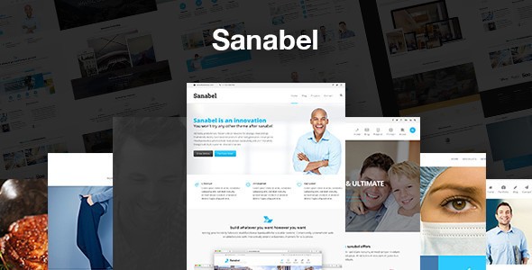 Sanabel商务跨行业多用途WordPress企业建站主题模板中英文汉化版 [代购]