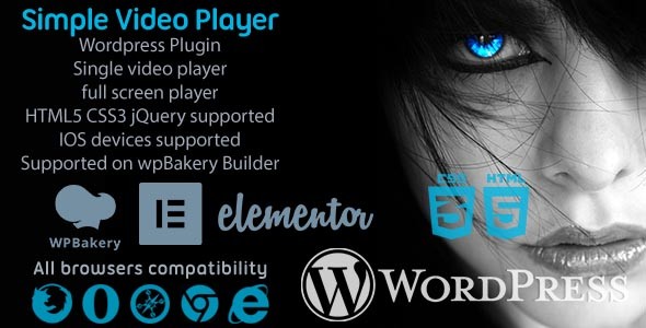 WordPress 简洁视频播放器插件 Simple Video Player中英文汉化版 [代购]