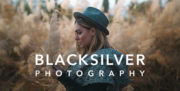 Blacksilver摄影作品案例展示WordPress企业主题模板中英文汉化版 [v9.1]