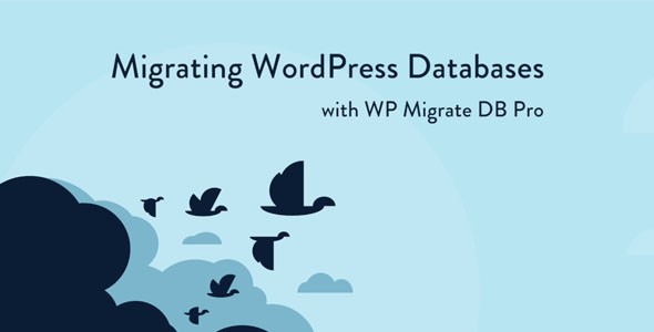 WordPress网站备份/克隆/迁移插件WP Migrate DB Pro中英文汉化版 [v2.6.10]