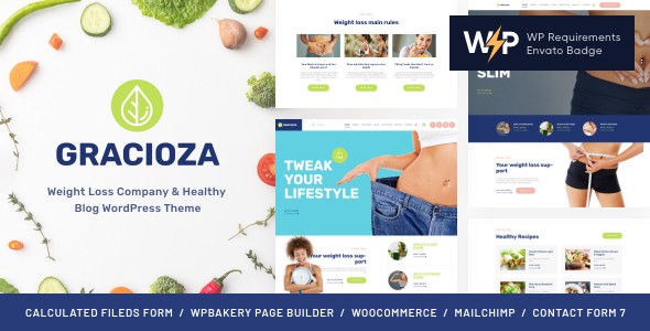 Gracioza减肥/健康保健类WordPress企业建站主题模板中英文汉化版 [v1.0.10]