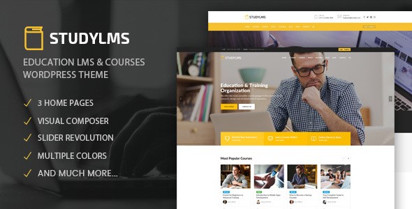 Studylms 教育LMS/在线课程类WordPress企业主题模板中英文汉化版 [v1.29]