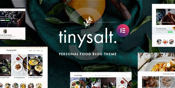 TinySalt食品/烹饪博客类WordPress企业建站主题模板中英文汉化版 [v3.2.0]